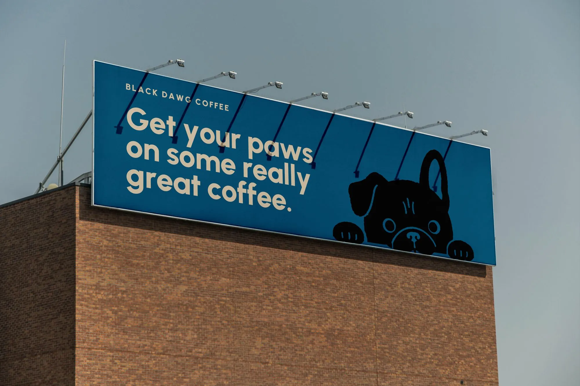 Rooftop billboard reading Get your paws on some really great coffee, with the Black Dawg mascot peeking up